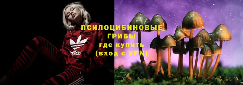 Галлюциногенные грибы Magic Shrooms Дагестанские Огни